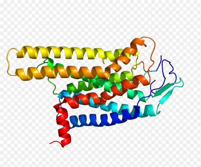 黑素皮质素4受体黑皮素受体g蛋白偶联受体-受体