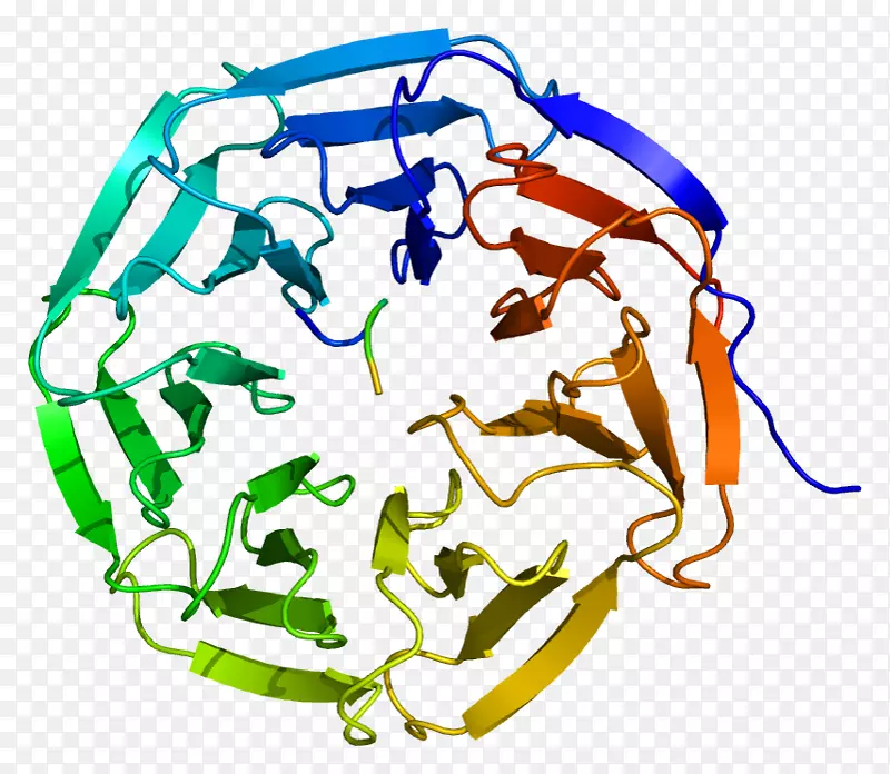 WDR5WD40重复蛋白家族乙酰转移酶
