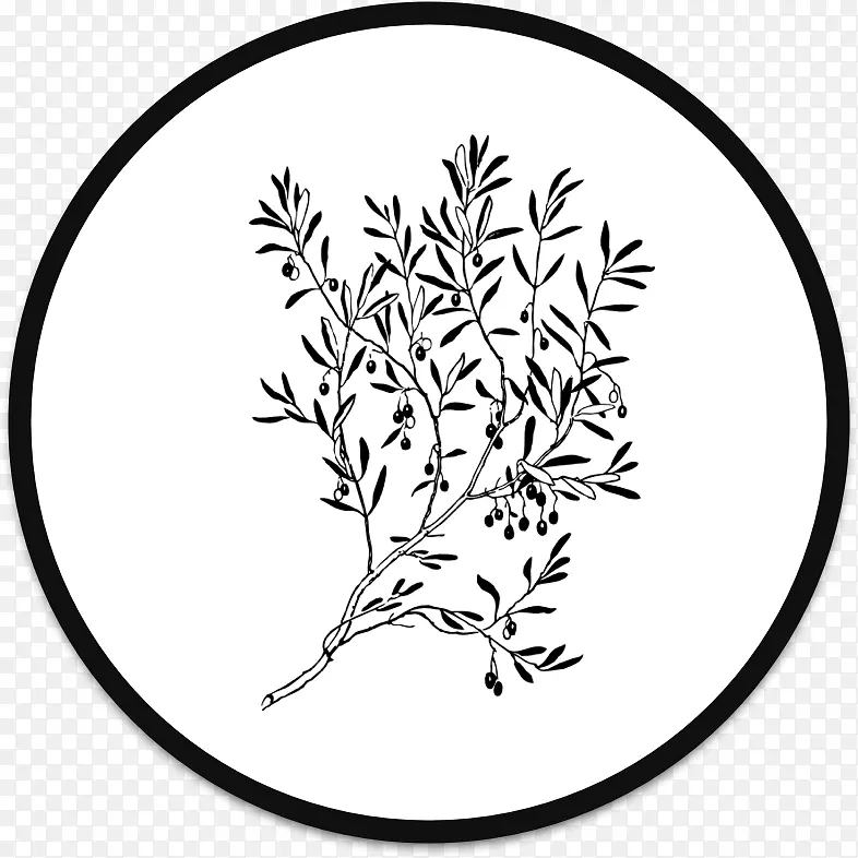 橄榄枝电脑图标剪贴画-橄榄树