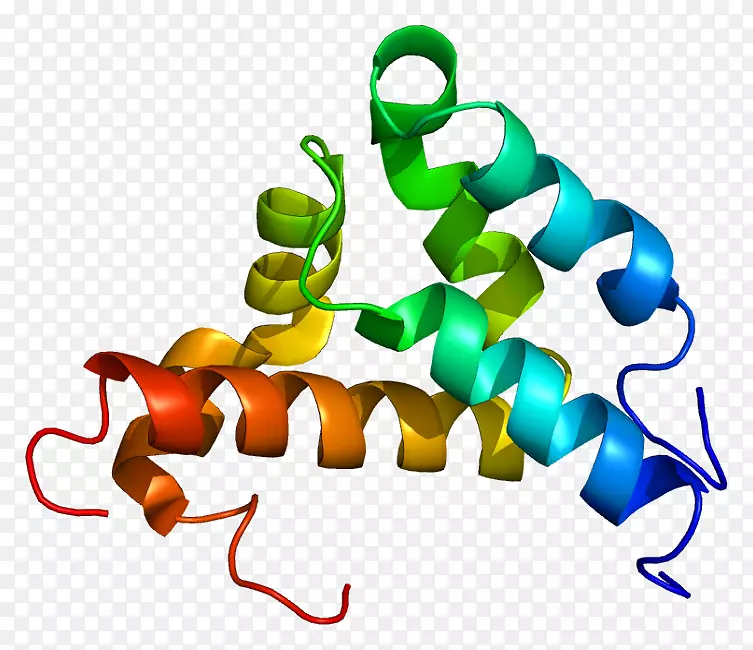 核受体辅激活剂3组蛋白类固醇激素受体