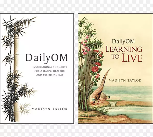 Dailyom：学习日常生活：为快乐、健康和充实的一天而不吃药的鼓舞人心的思想：自然健康的四大支柱-Amazon.com图书礼品