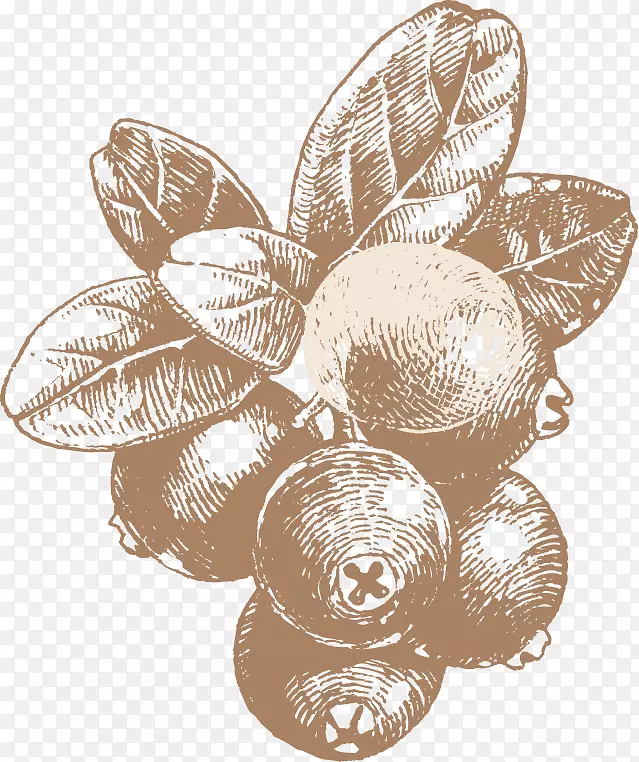 阿道夫达博糖浆蜂蜜水果奥格里斯蜂蜜