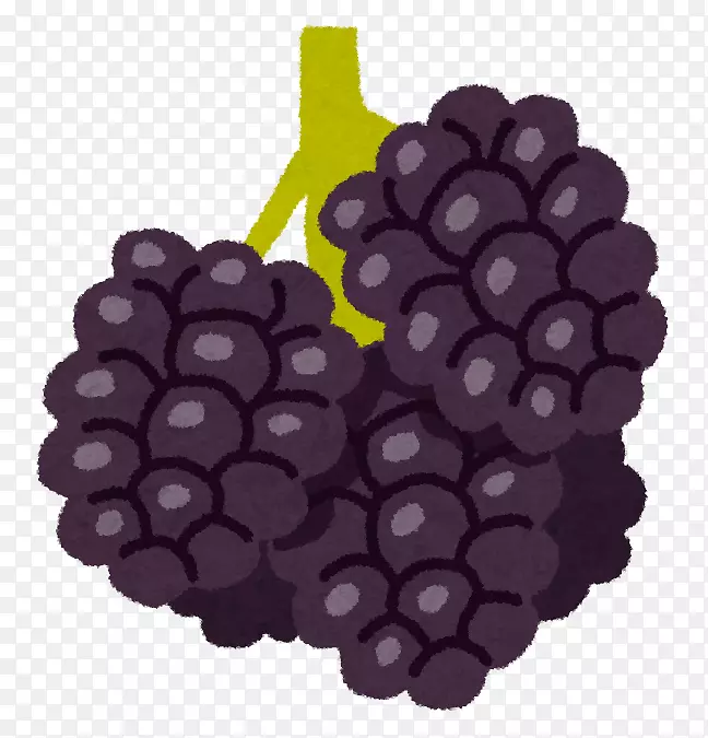 葡萄小浆果食品-葡萄