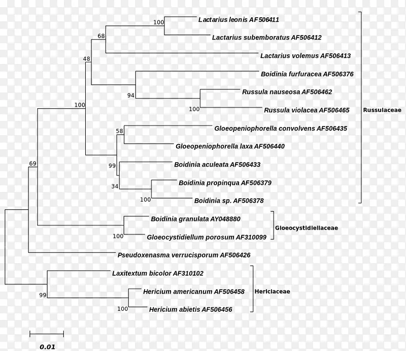 系统发育树担子菌Russulaceae Lax库文献-系统发育树