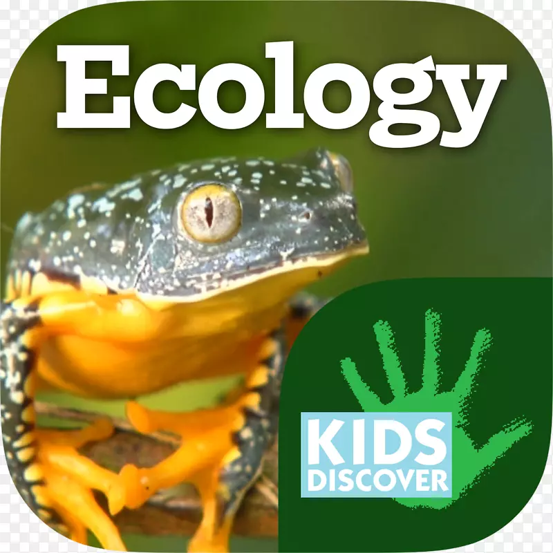 儿童发现生态儿童自然环境资讯濒危物种回收计划