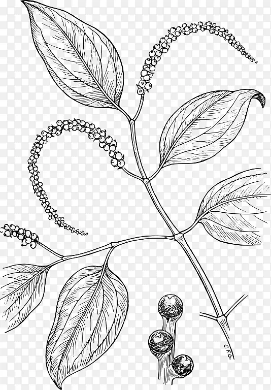植物对僵尸2：是时候了，黑白黑胡椒画调味品-黑胡椒