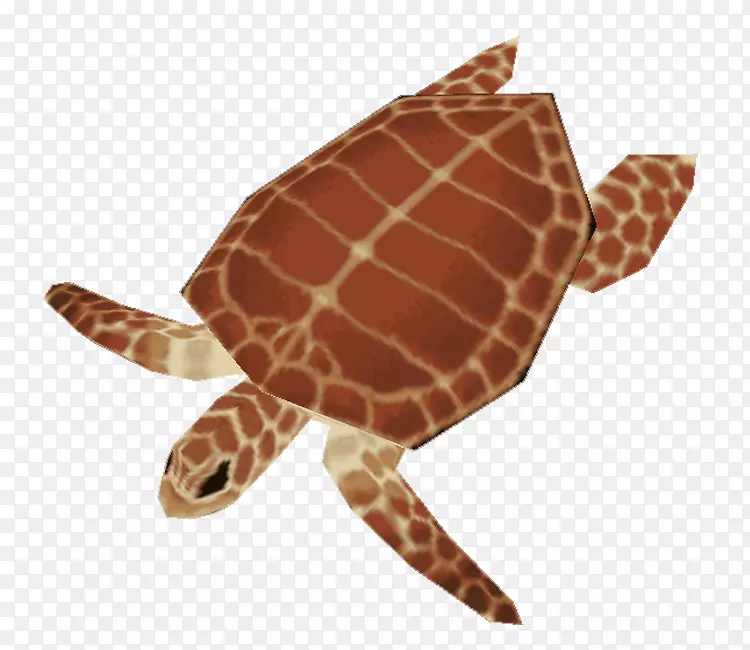 海归填充动物&可爱玩具陆生动物-海龟