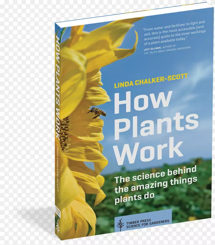 植物是如何工作的：植物做的令人惊奇的事情背后的科学书，平装本-植物。