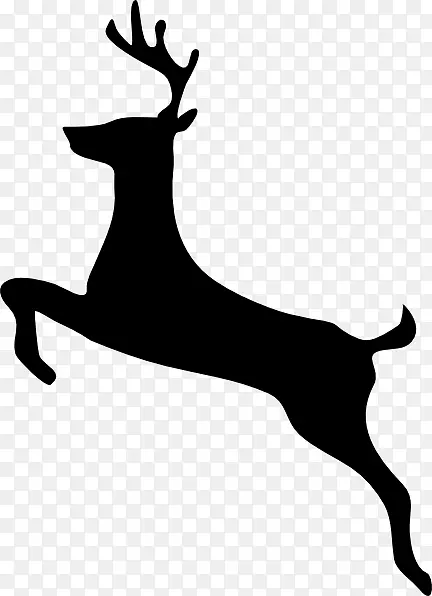白尾猎鹿夹艺术-动物剪影