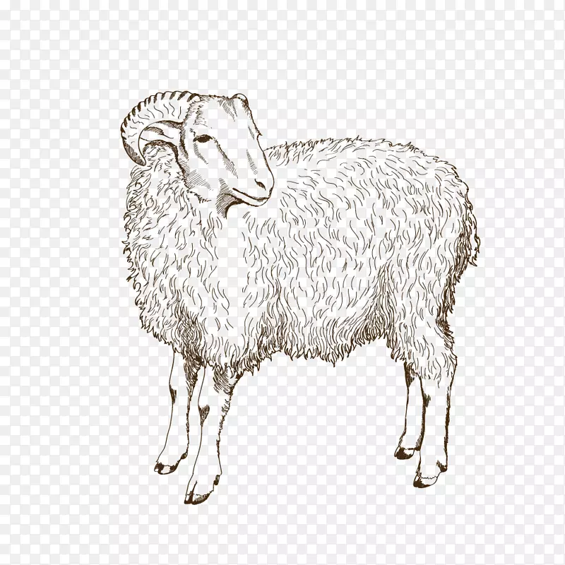 牧羊