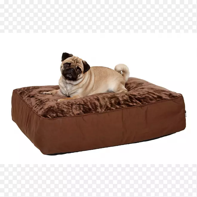 狗垫床扔枕头宠物店狗