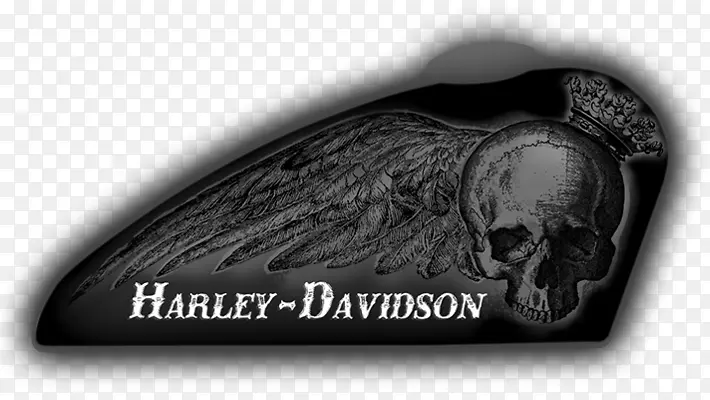 哈雷戴维森博物馆定制摩托车哈雷戴维森跑车头骨摩托