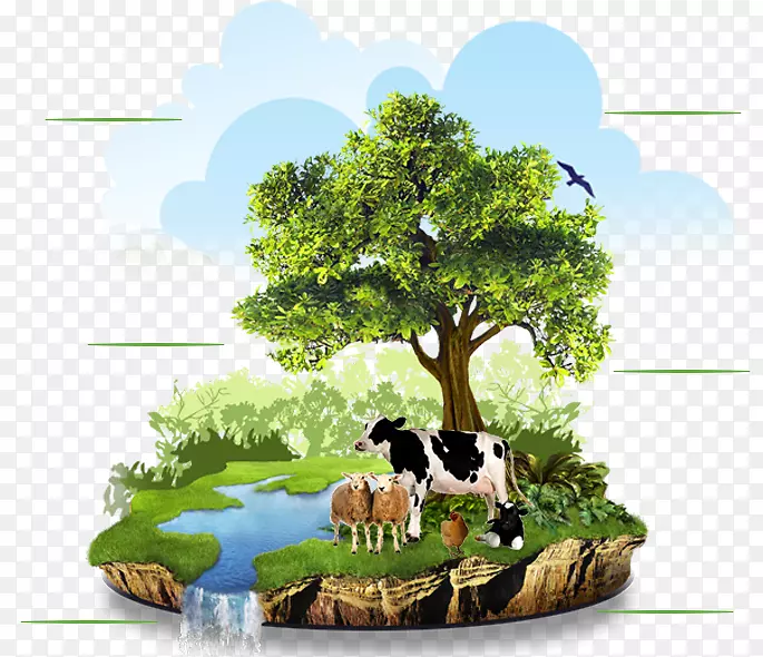 农业有机食品有机农业自然环境