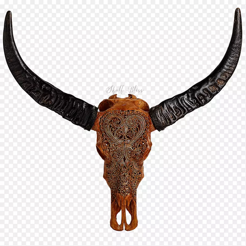 角动物头骨古董雕刻水牛头骨