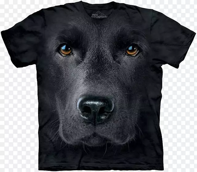 长袖拉布拉多猎犬服装.t恤