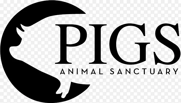 猪标志先锋职业中心妮可美容假发动物保护区-猪标志