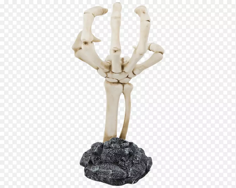 人体骨骼人体解剖头-头骨手