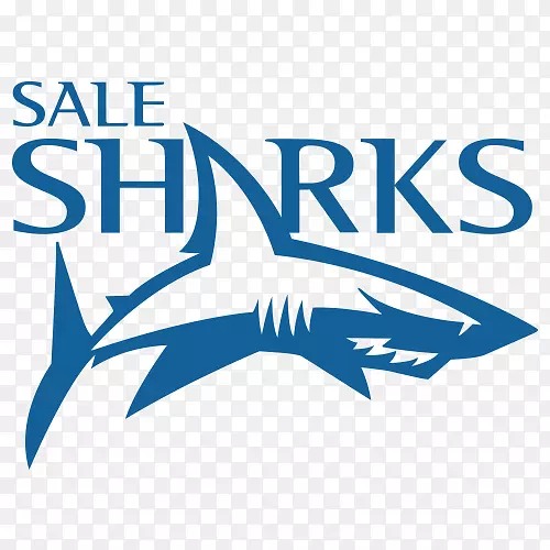 出售鲨鱼纽卡斯尔猎鹰2017年-18英杰瓦联赛出售fc橄榄球俱乐部伍斯特勇士-英杰瓦标志