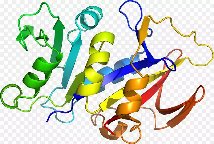 白细胞介素-1家族i1b白细胞介素1受体，Ⅰ型il1a-ekamouse