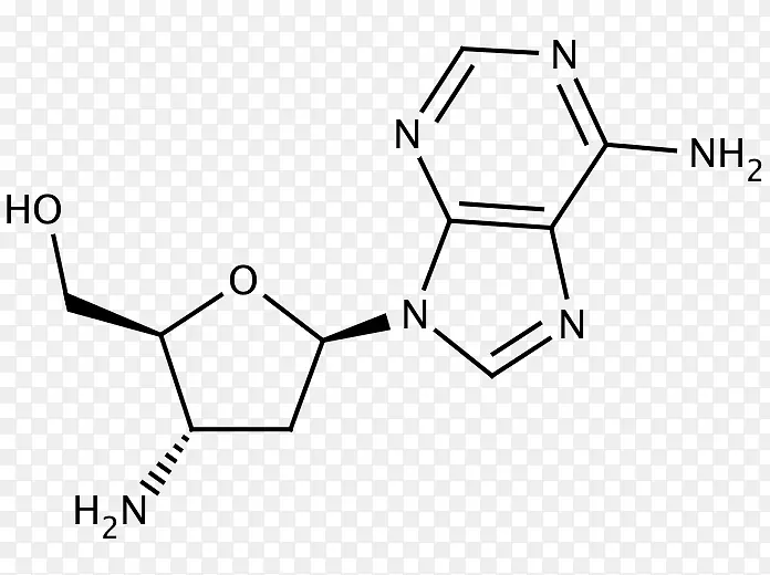 环己醇胺化学甲基酸-肾毒性