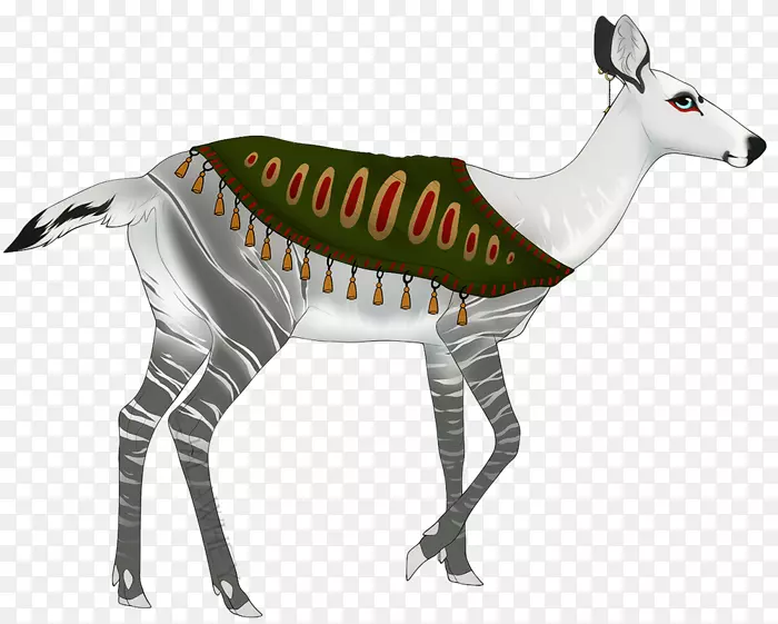 Okapi鹿动物群野生动物-鹿