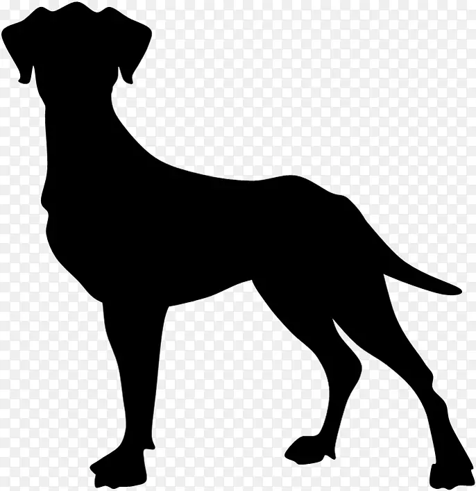 犬种小狗运动团体黑狗