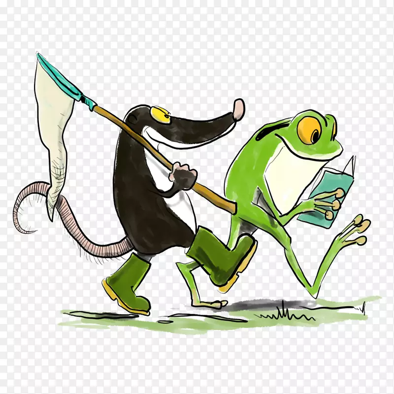树蛙会波哥涅-自然真正的青蛙在线交友服务-会议