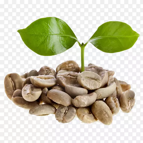 绿咖啡提取物咖啡豆浓缩咖啡干烘焙-咖啡
