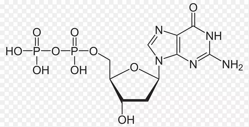 三磷酸腺苷鸟苷一磷酸分子化学能