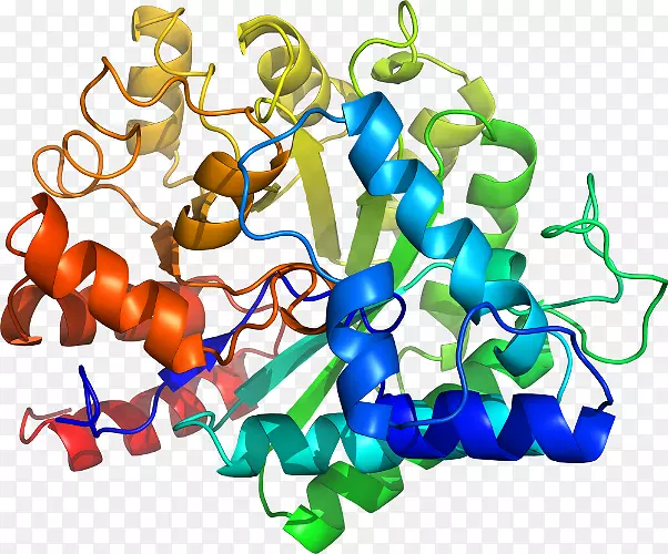 生物剪贴剂-腺苷脱氨酶zalpha结构域