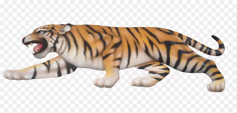 老虎大猫陆生动物野生动物-老虎