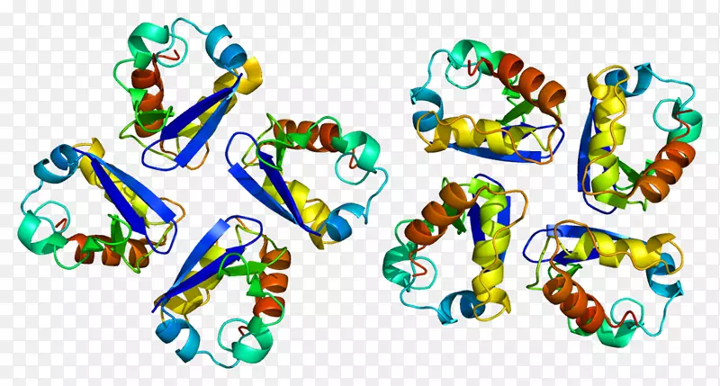 kcna 3电压门控钾通道振动筛基因电压门控离子通道钠葡萄糖转运蛋白