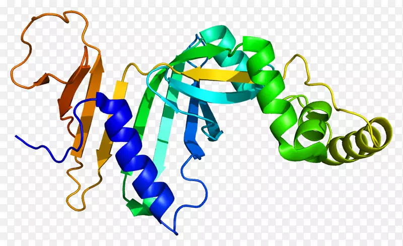 5‘-磷酸吡啶氧化酶Pnpo维生素b-6酶-混合功能氧化酶