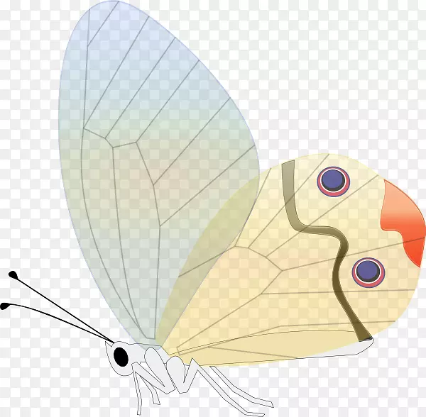 蝴蝶昆虫剪贴画.蝴蝶