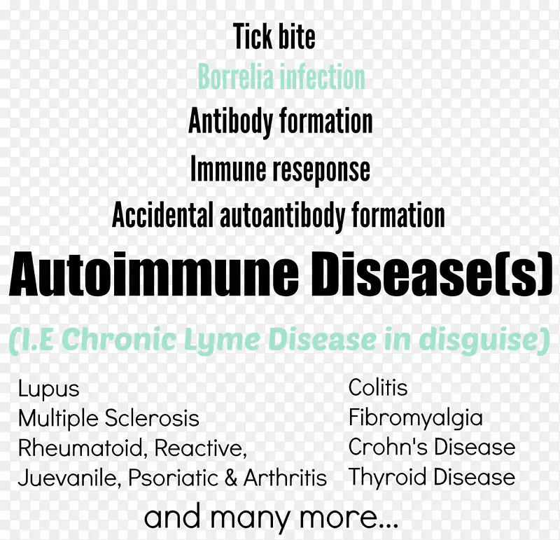 慢性莱姆病自身免疫性疾病