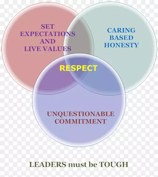 领导管理团队的权威尊重-Clore领导计划
