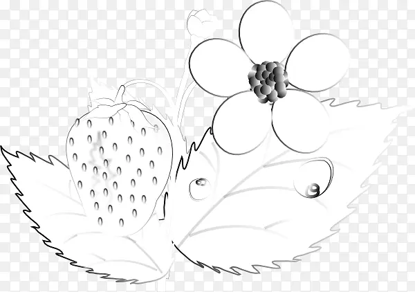 昆虫授粉线艺术花瓣素描-草莓轮廓