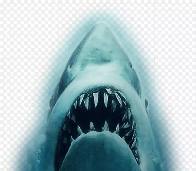 Youtube鲨鱼颌骨预告片-白鲨