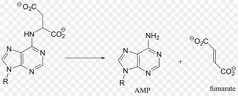 /m/02csf化学白离开基团-焦磷酸硫胺