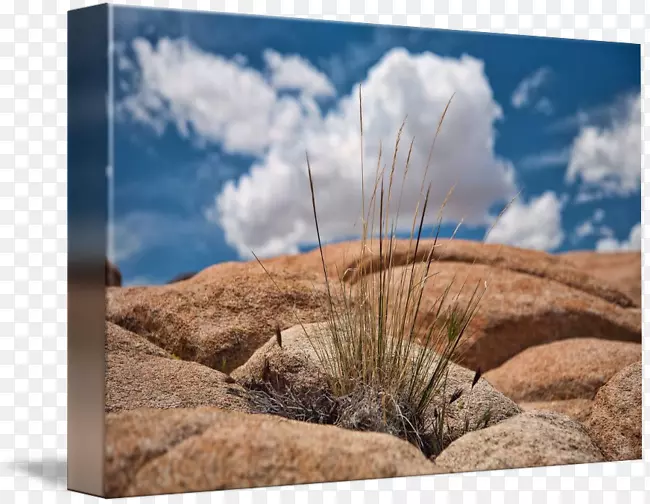 桌面壁纸生态区摄影电脑.沙漠岩石