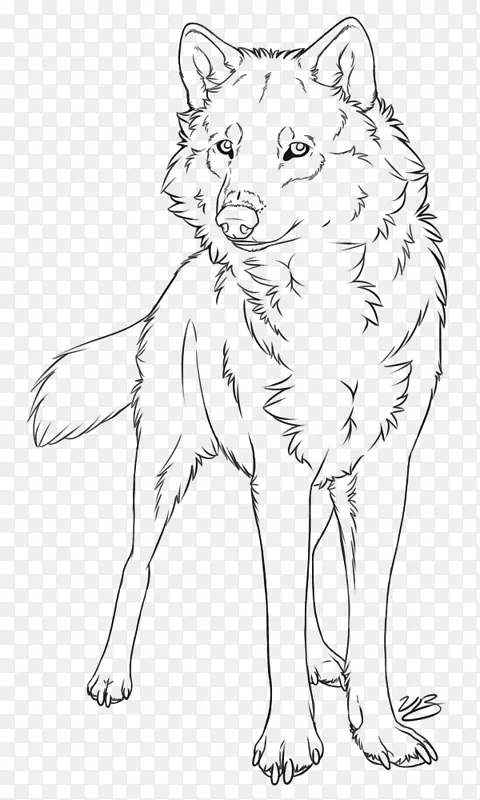 灰狼线画素描-狼纹身