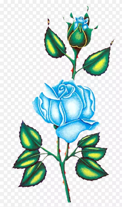 花园玫瑰花卉设计剪贴画设计