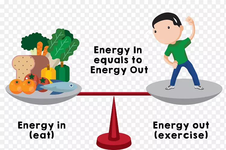 热量基础代谢率能量平衡夹平衡营养