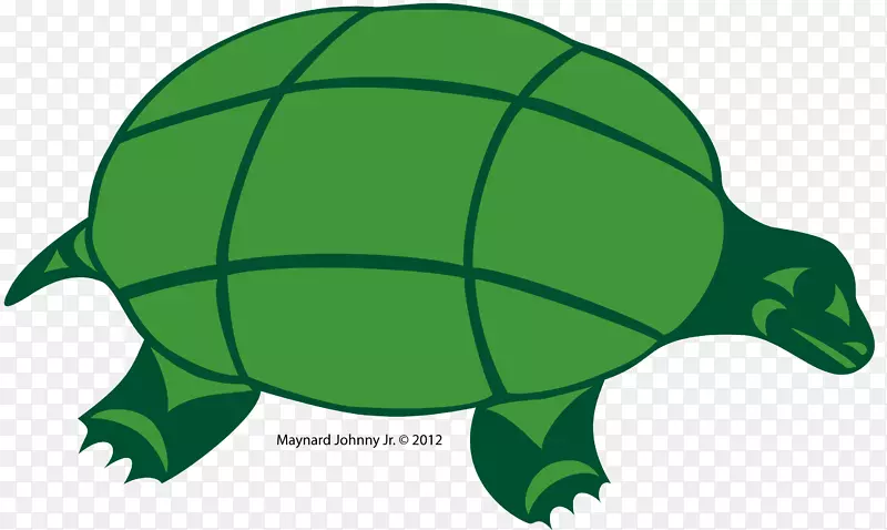 海龟灰狼绿海龟