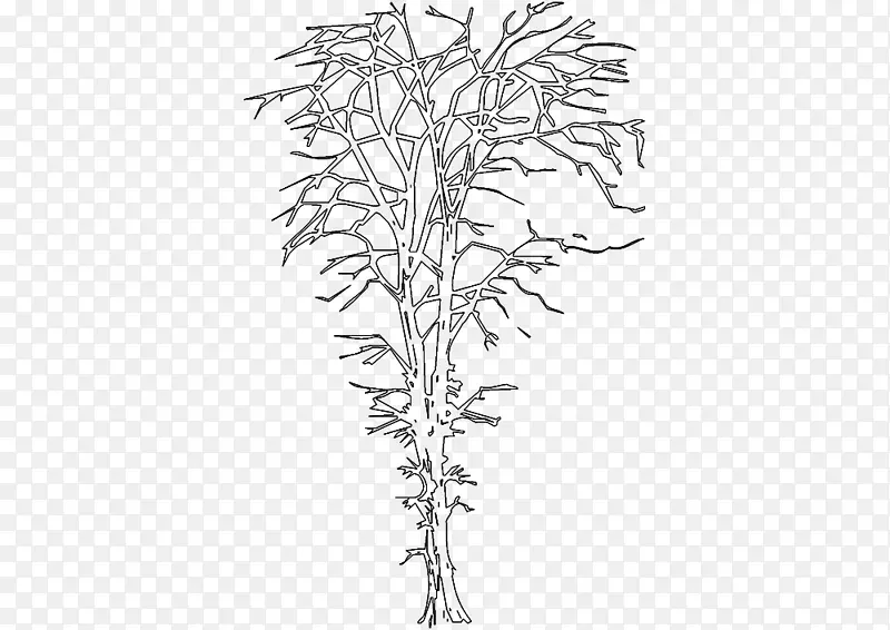 细枝线艺术植物茎叶白叶