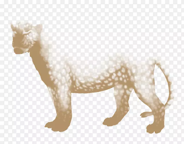 狮子猫狗犬科陆生动物-狮子