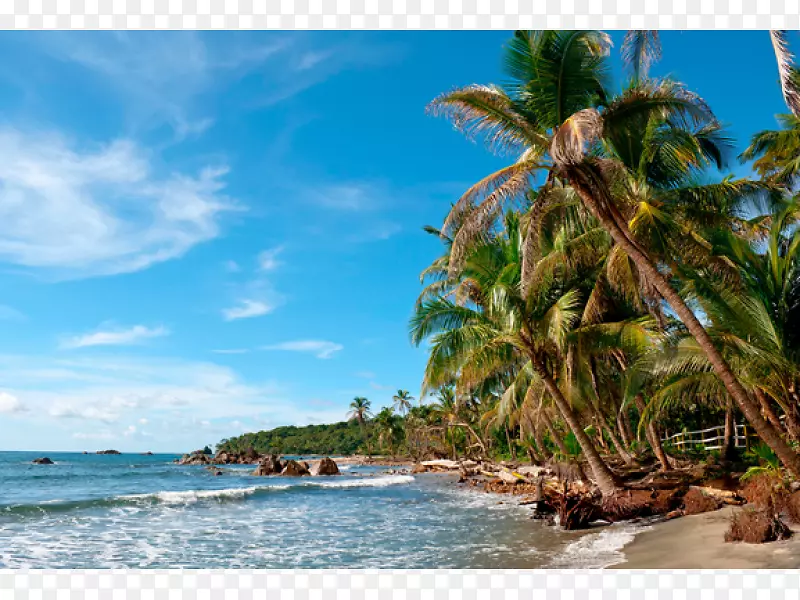 加屯湖巴拿马城气象学加勒比海滩旅游野生动物指南哥斯达黎加
