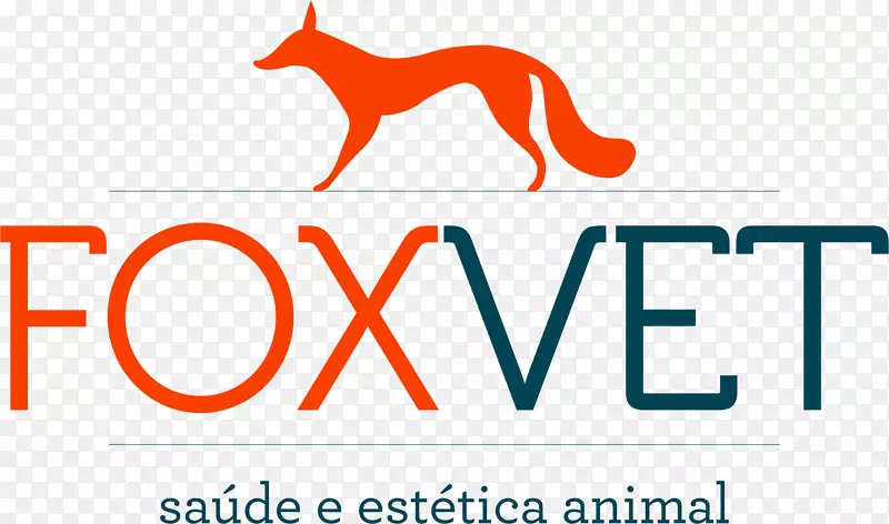 迈克尔j。福克斯基金会回到未来Moema狗狐狸做瑜伽