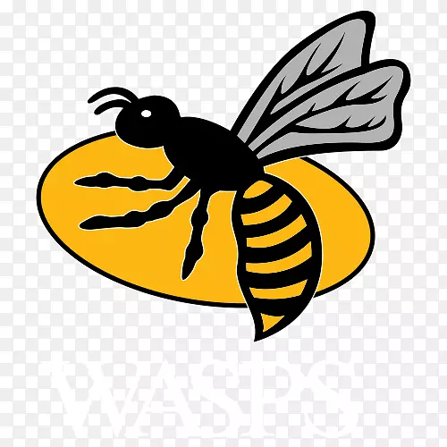 Wasps rfc英国英超黄蜂女黄蜂fc理光竞技场