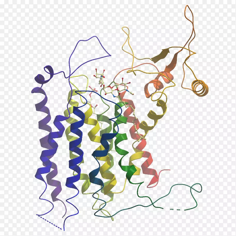 脱乙基酶结构基因组学联合会ntt数据工程系统公司胺氧化酶-聚副半乳糖聚合酶